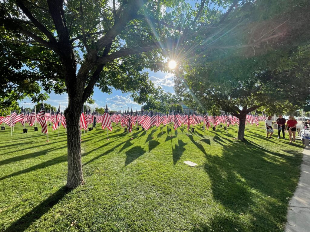 the Healing Fields memorial at a distance