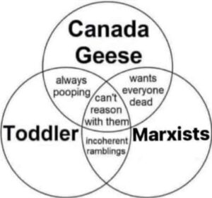 canada geese-toddlers-marxists venn diagram